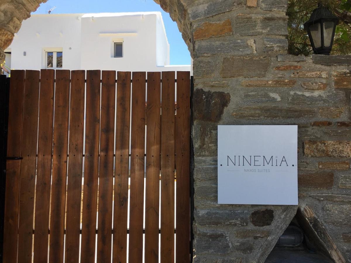 Ninemia Naxos Suites Agios Thaleleos エクステリア 写真