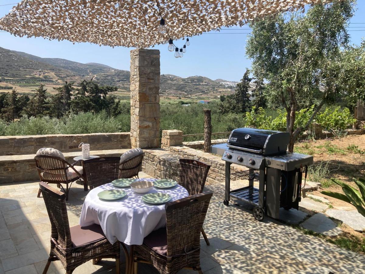 Ninemia Naxos Suites Agios Thaleleos エクステリア 写真